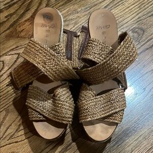 Brown Woven Wedges with Crisscross Straps